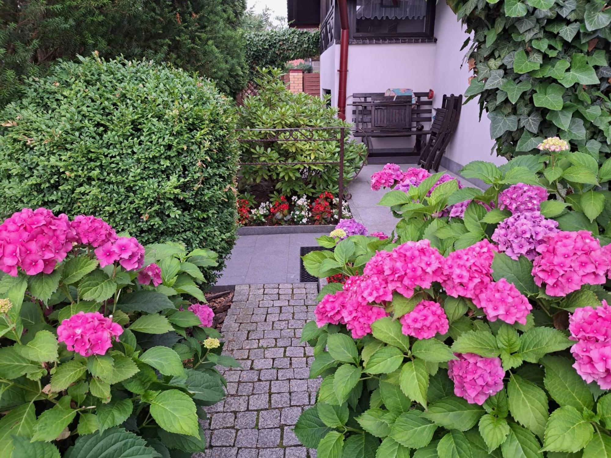 Leilighet Apartament Lady Anna D